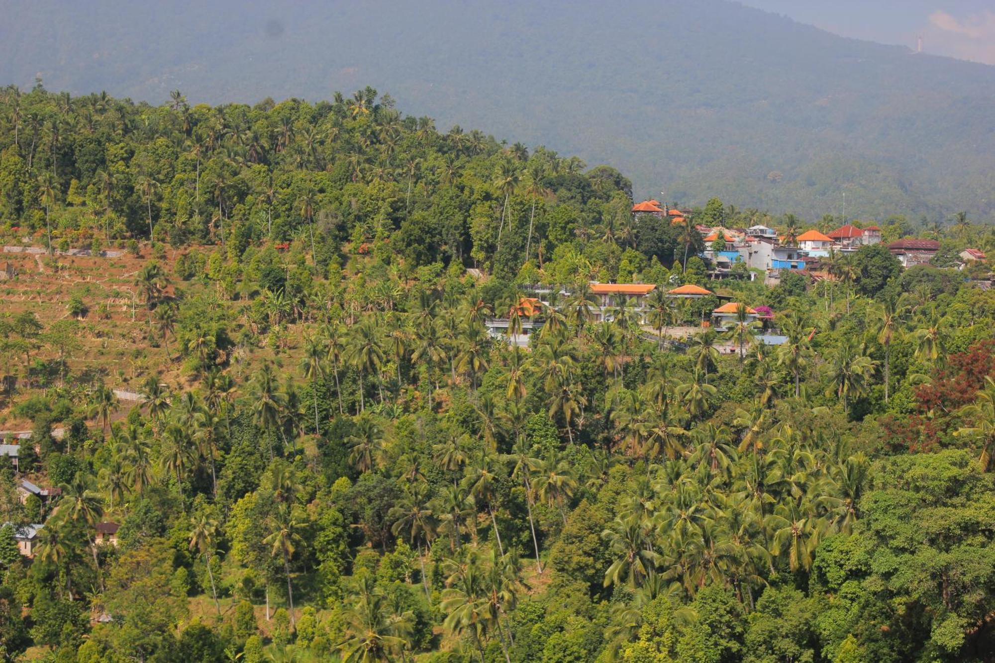 Rostika Hotel Sekumpul Pabean Buleleng Exteriér fotografie